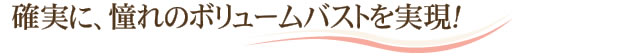 確実に、憧れのボリュームバストを実現！