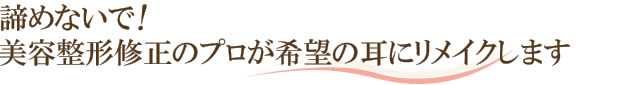 諦めないで！修正のプロが希望の耳にリメイクします