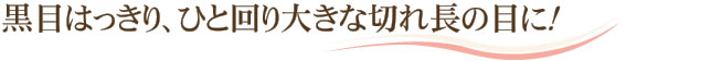 黒目はっきり、ひと回り大きな切れ長の目に！