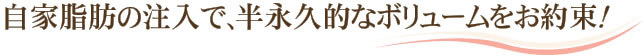 自家脂肪の注入で、半永久的なボリュームをお約束！