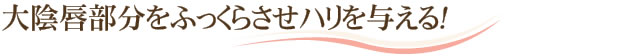 大陰唇部分をふっくらさせハリを与える！