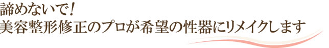 諦めないで！修正のプロが希望の性器にリメイクします