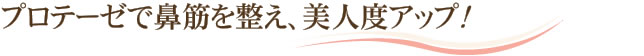 プロテーゼで鼻筋を整え、美人度アップ！