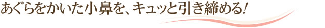 あぐらをかいた小鼻を、キュッと引き締める！