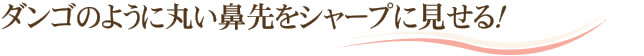 ダンゴのように丸い鼻先をシャープに見せる!