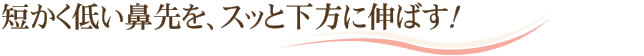 短かく低い鼻先を、スッと下方に伸ばす！