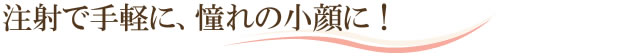 注射で手軽に、憧れの小顔に！